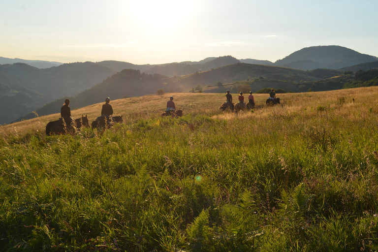 From Belgrade: 6-Day Šumadija Trail Horseback Riding Tour