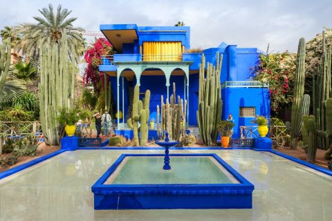 Marrakech : Visite privée d'une journée avec le jardin Majorelle