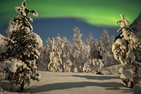 From Tromso: Arctic Wilderness Snowmobile Evening Tour
