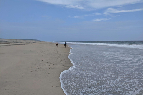 From Huatulco: Beach Horseback Riding Experience Regular Beach Horseback Riding Tour (2 hours)