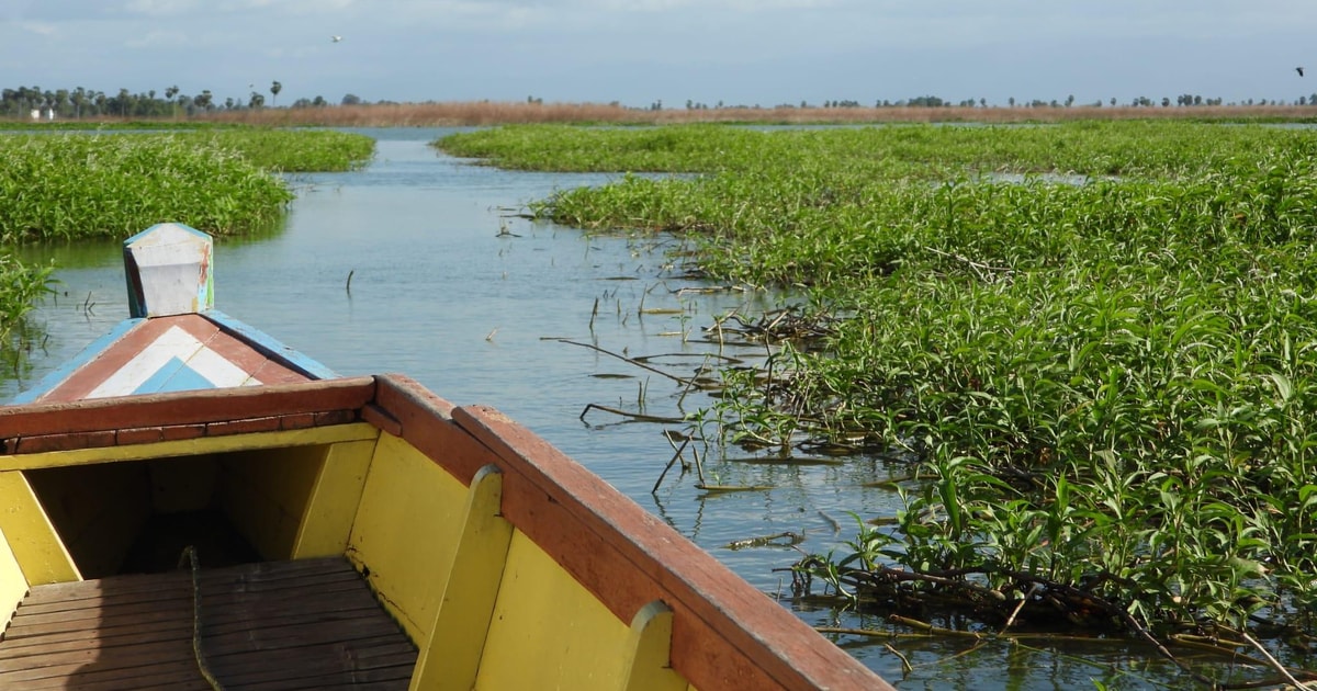 Sengkang: Tempe Lake Floating House Boat Tour with Transfer | GetYourGuide