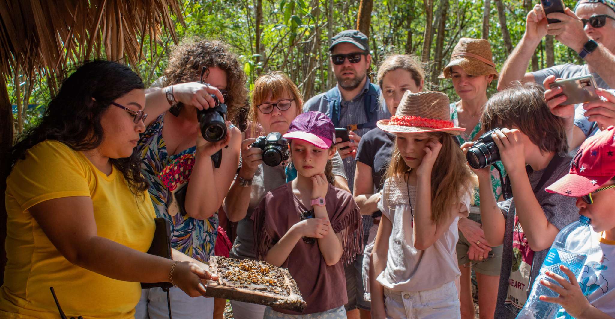 Xkopek Day Pass, Bee Tour and Pool