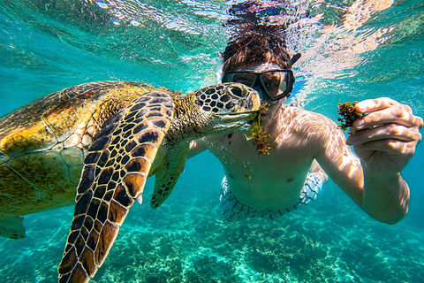 Mirissa Day Adventure: Whales, Beaches, Surfing & Sunset