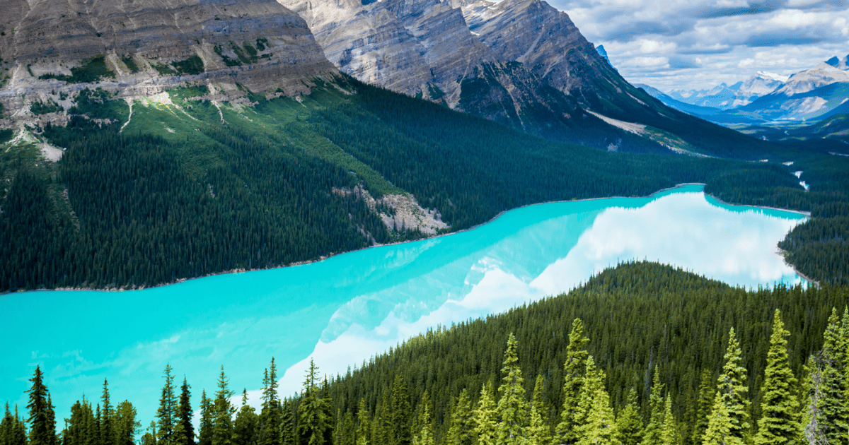 Jasper: Icefields Parkway Self-Guided Driving Audio Tour | GetYourGuide