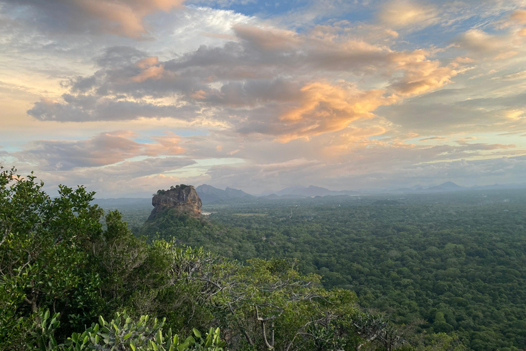 Colombo: 5-Day Sri Lanka Cultural Tour with Transfers