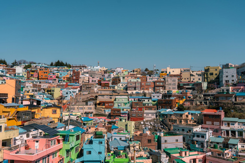 Busan: Sky Capsule, Local Street Food and Sunset/Night Views Nightview Shared Tour, Meet at KTX Busan Station