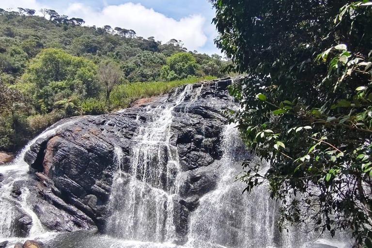 Sri Lanka: 10-Day Wildlife, Culture & Scenic Adventure