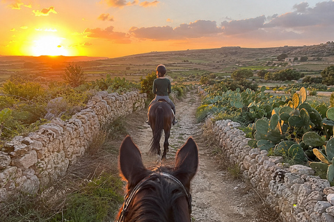 Malta: Sunset Horseback Ride Through Countryside Fields