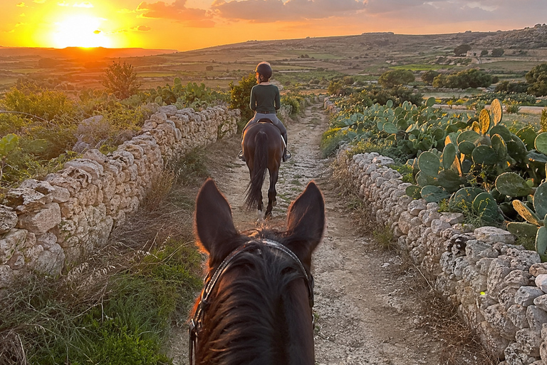 Malta: Sunset Horseback Ride Through Countryside Fields