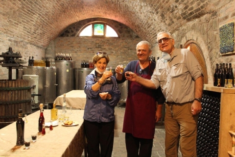 Fruska Gora i Novi Sad Heritage & Gastro Private TourPrywatna całodniowa wycieczka do Fruskiej Góry i Nowego Sadu