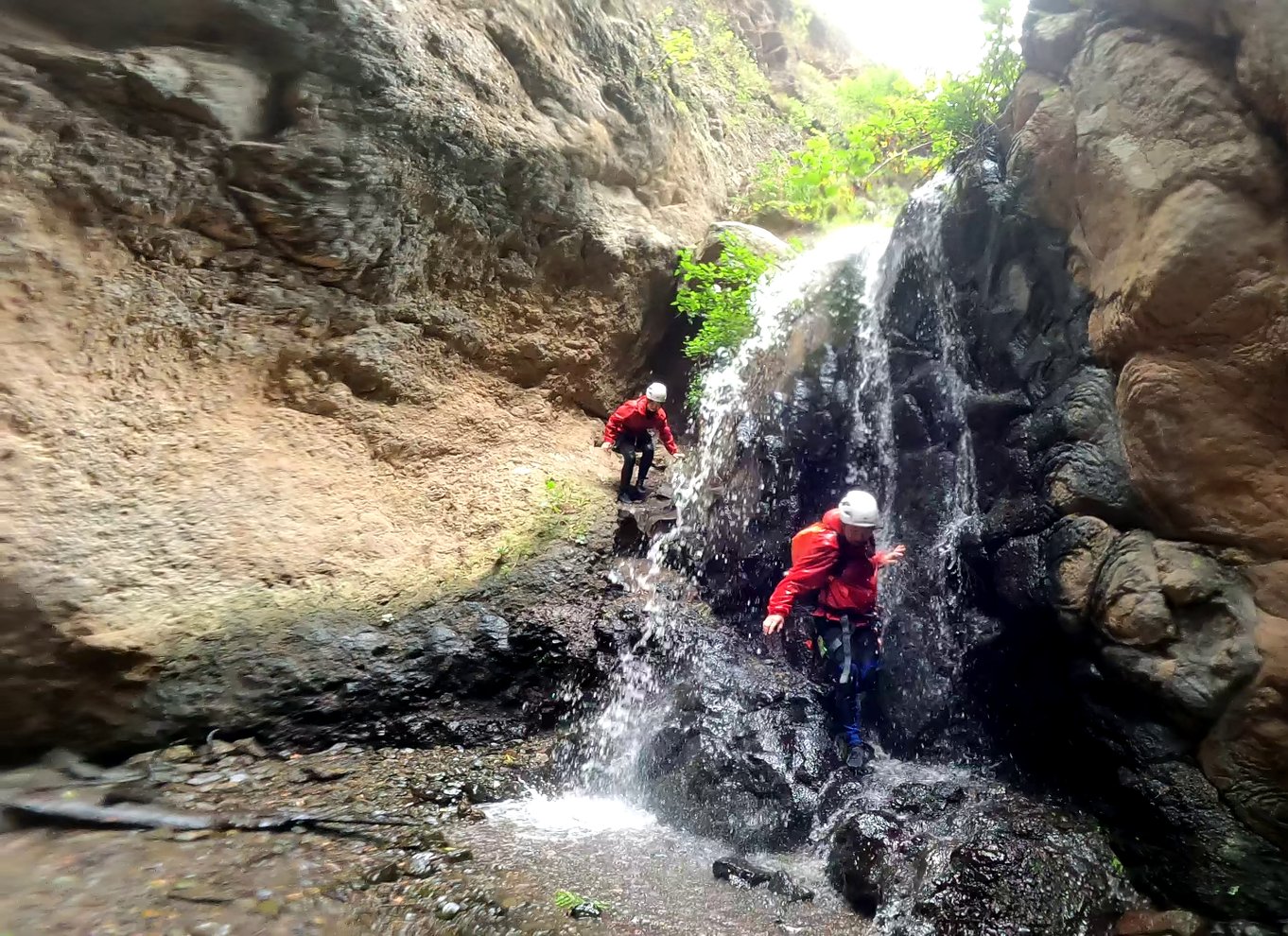 Gran Canaria: Canyoning-eventyr i det grønne hjertes jungle