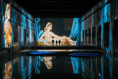 Bordeaux: Bassins des Lumières Billet d&#039;entrée