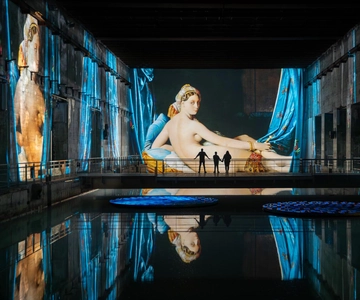 Bordeaux : Bassins des Lumières Billet d’entrée
