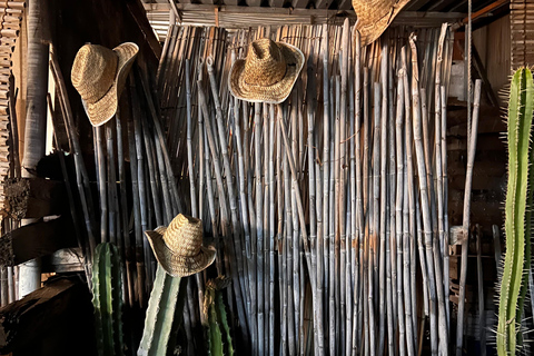 Oaxaca: Aguamiel, Pulque and Mezcal Tasting