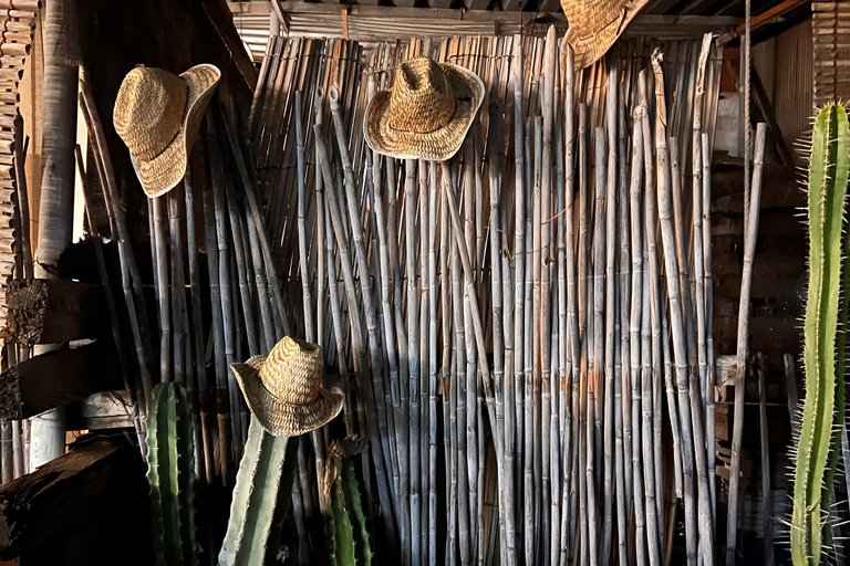 Oaxaca: Aguamiel, Pulque and Mezcal Tasting