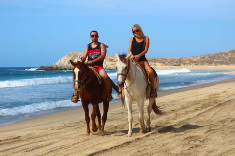 Cabo San Lucas: Horseback Riding on the Beach Experience Migriño Horseback Riding PRO