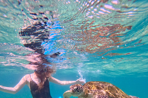Mirissa: Sea Turtle Conservation Experience with Snorkeling