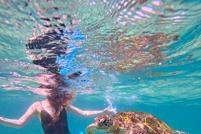 Mirissa: Sea Turtle Conservation Experience with Snorkeling