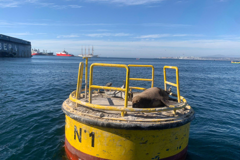Historisch Valparaíso: privéboottocht + rondleiding door de oude binnenstad