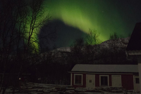 Abisko National Park: A snowshoe journey into the Arctic