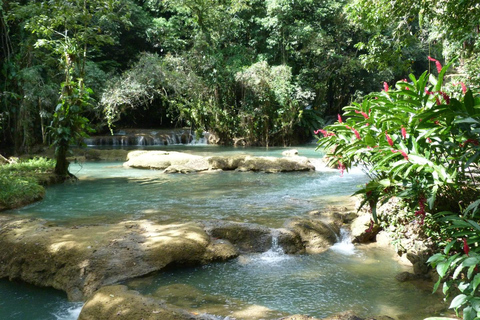 蒙特哥湾/尼格瑞尔阿普尔顿朗姆酒之旅（Appleton Rum Tour）和 YS 瀑布滑索（YS Falls Zipline
