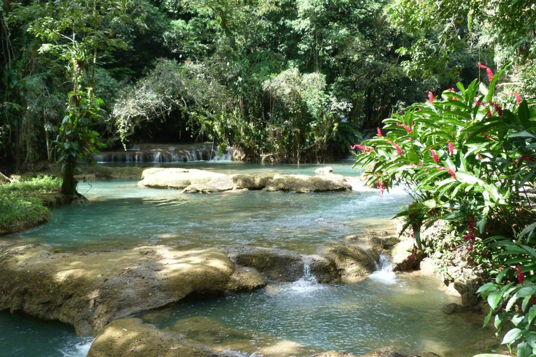 蒙特哥湾/尼格瑞尔阿普尔顿朗姆酒之旅（Appleton Rum Tour）和 YS 瀑布滑索（YS Falls Zipline