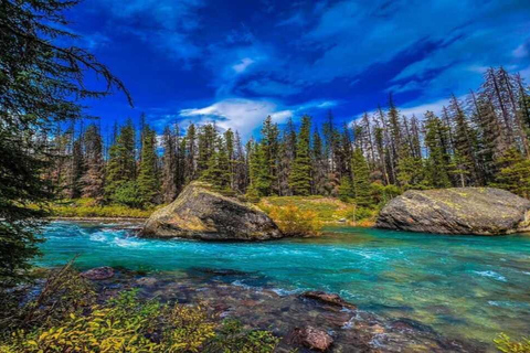 Banff: Banff &amp; Yoho National Park Lakes and Gondola Tour