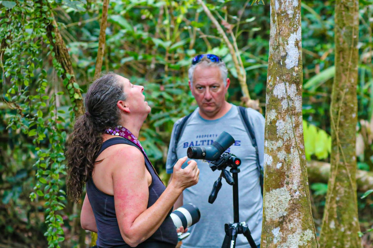 Uvita: Corcovado Rainforest & Wildlife Adventure