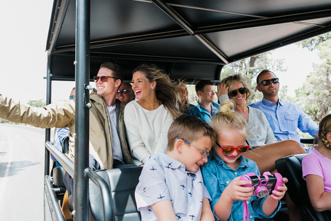 Grand Canyon Village: Opções de passeio de helicóptero e de HummerSomente passeio de helicóptero