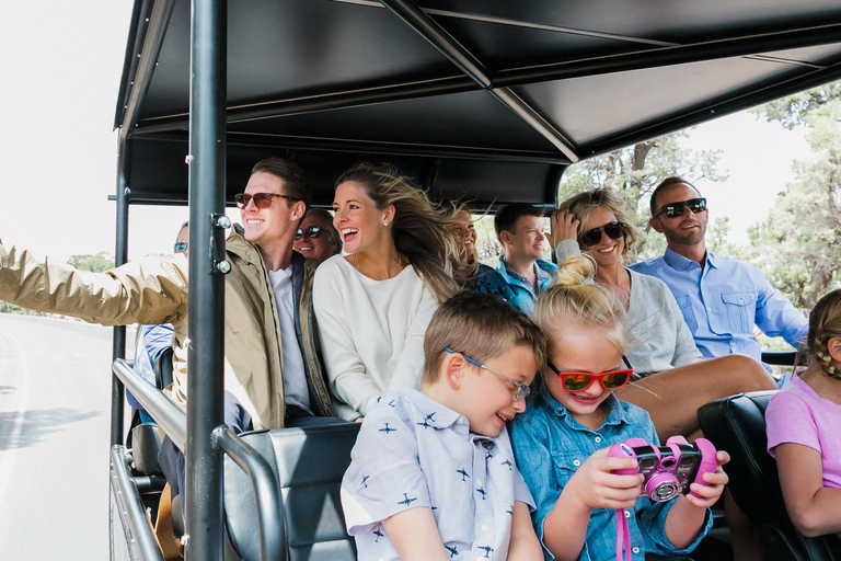 Grand Canyon Village: Opções de passeio de helicóptero e de HummerSomente passeio de helicóptero