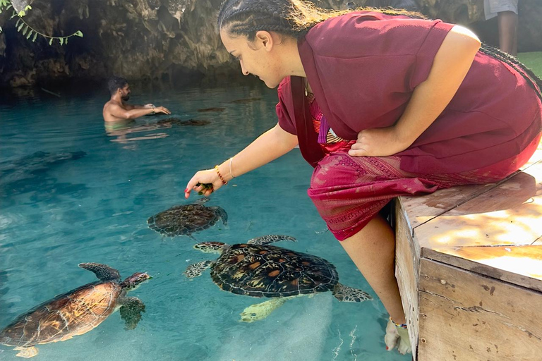 Zanzibar Kizimkazi:Salaam Cave swim sea turtles and transferTransfer from Stone Town : Afternoon