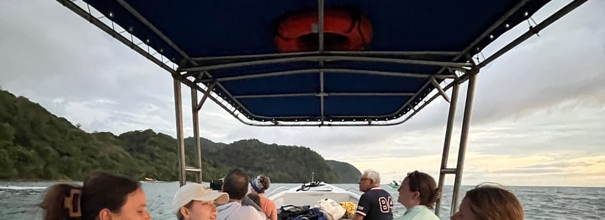 Depuis Playa Pochote : Visite privée de l'île de Tortuga