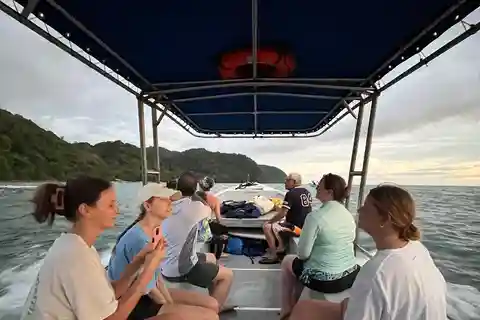 Från Playa Pochote: Tortuga Island privat tur