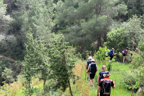 Ibiza: Private Hiking Tour with Local Guide