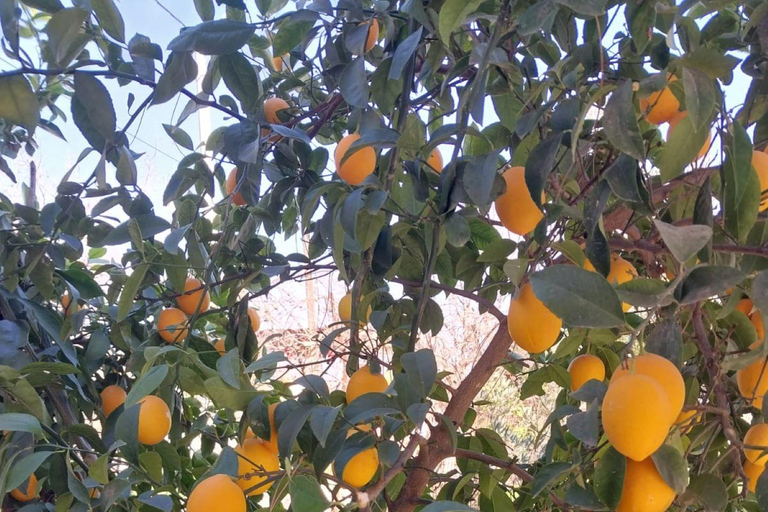 Kusadası: Countryside Tour with Lunch and Drinks