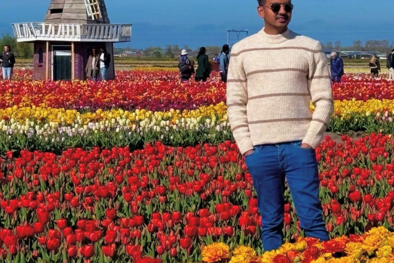 Amsterdam: Tulpenwonderland Tour