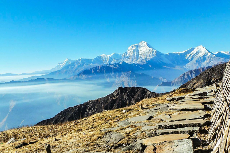 Khopra Danda Hill Trek @Annapurna Region, Nepal