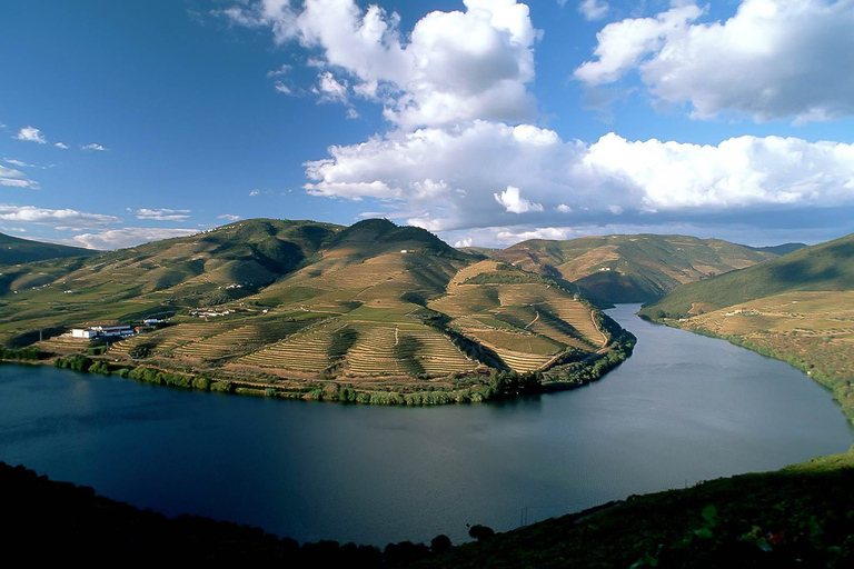 Croisière 1 jour à Pinhão et dans la vallée du DouroVisite guidée avec point de rencontre