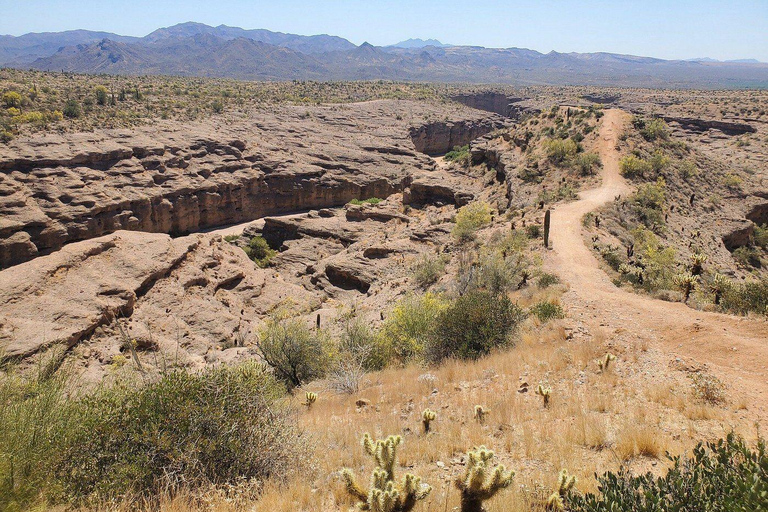 Phoenix/Cave Creek: Self-Guided ATV Rental Half Day Rental