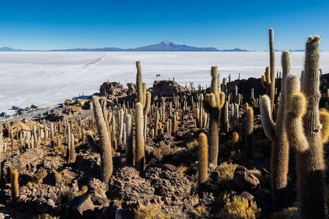 Vanuit Uyuni: Salar de Uyuni met Incahuasi eiland - Hele dag