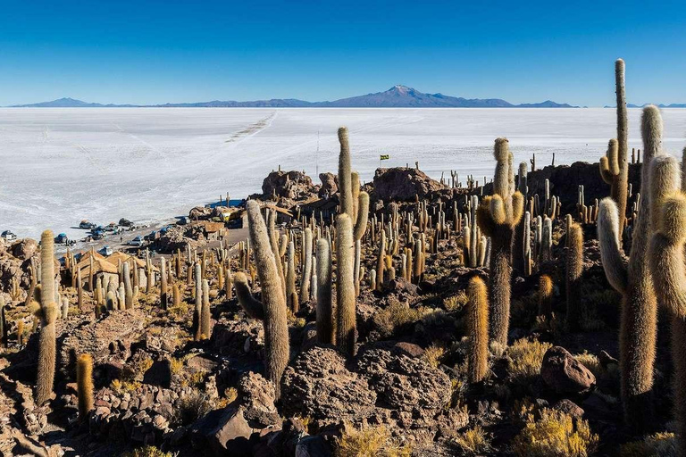 Z Uyuni: Salar de Uyuni z wyspą Incahuasi - cały dzień