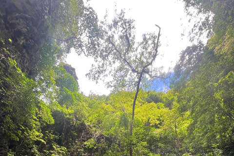 Krabi: 4 Island Sunset Small Group Tour with Night Snorkel