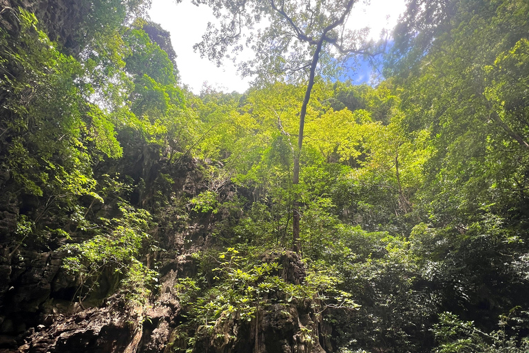 Krabi: 4 Island Sunset Small Group Tour with Night Snorkel