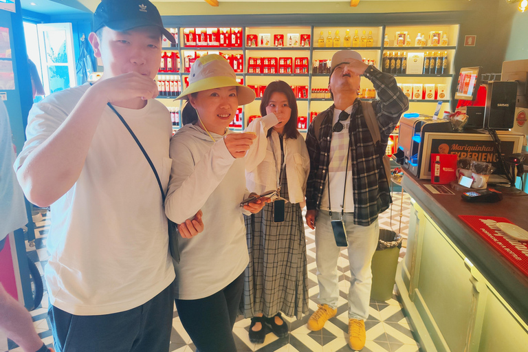 From Lisbon: Medieval Tour, Batalha, Tomar, Alcobaça, Óbidos Private Tour Option