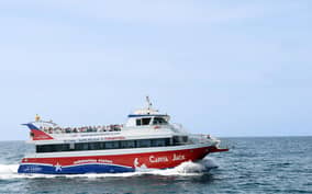 - Canarie.it