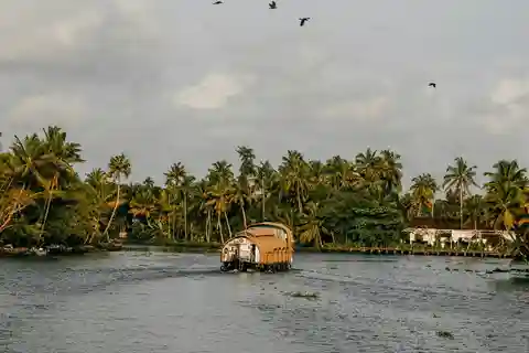 Kerala: Munnar, Thekkady, Alappuzha & Trivandrum 5-Day Trip