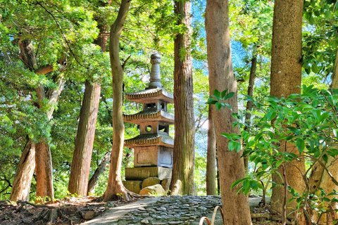 Depuis Nagoya : Châteaux et canaux à Hikone et Omi HachimanDépart de la gare de Nagoya