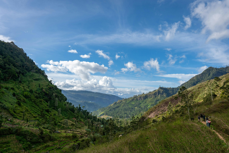 Colombo: Pidurangala Rock Sunrise Hike & Village Tour