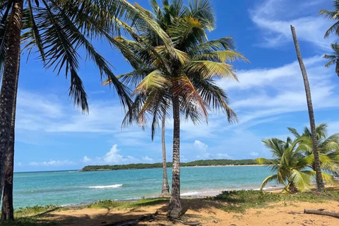 El Yunque &amp; Piñones Tour; Caminha, come e relaxa como um local