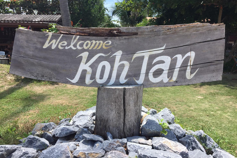 Koh Samui: Pig Island Tour by Speedboat with Snorkeling Private Tour or Cruise Ship Option